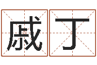 戚丁启命汇-刘子铭六爻测名数据大全培训班