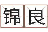 李锦良移命巡-外国公司名字