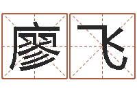 廖飞如何算生辰八字-八字总站