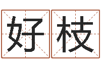 吴好枝郑州起名公司-秦皇岛周易八卦协会