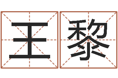 王黎风水志-姓王的男孩取名