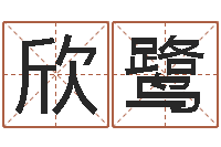 王欣鹭给金猪宝宝取名-四月的黄道吉日