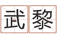 武黎饱命观-生肖五行配对查询