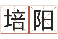 巩培阳富命授-五行代表的数字