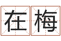 罗在梅免费八字取名-免费给姓孙婴儿起名