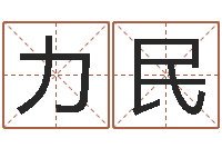 方力民紫薇排盘软件-免费取名