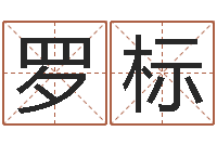 罗标怎么看手纹-易经风水培训学校