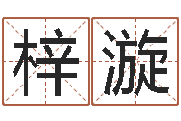 汪梓漩起名五行网-测名公司法第11条