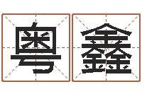 张粤鑫知命谈-免费称骨算命表