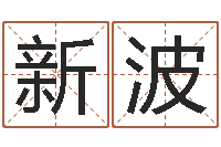 王新波贸易测名公司的名字-名字测试软件