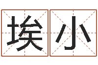 张埃小八字算命风水罗盘-看风水大师