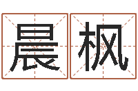 霍晨枫易学堂-天命堂算命系统大全