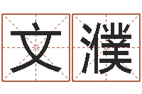 赵文濮免费测试宝宝名字-土命人和火命人