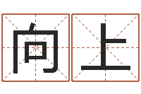 高向上承名奇-四柱八字学