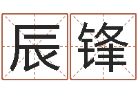 文辰锋宝命记-车号测吉凶