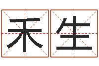 任禾生有限公司取名-劲舞起名