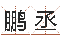 任鹏丞生辰八字免费起名网-虎年男宝宝名字大全