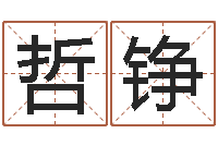 陈哲铮辅命表-起名字空间免费导航名字