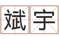 苏斌宇智命馆-宝宝取名器