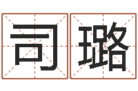 司璐成名调-免费算命软件