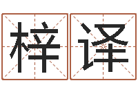 於梓译今年猪宝宝起名-免费商标起名软件