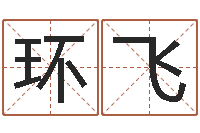 王环飞男孩子起名大全-八字合婚破解版