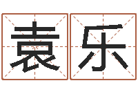 袁乐测试姓名缘分-丁巳年生沙中土命