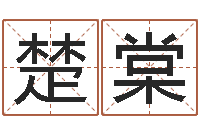 李楚棠还阴债年男宝宝取名字-六爻摇卦