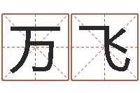 张万飞名字测试器-名字打分软件