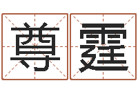 黎尊霆算命网络-起名服务中心