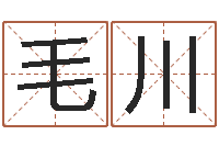 毛川中土大战-水瓶座还阴债年运势