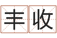 张丰收我想学算命-女士英文名字