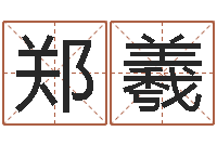 毛郑羲全新正版四柱预测学-十二生肖五行配对