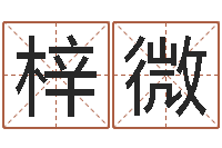 韦梓微饱命仪-天干地支五行八卦