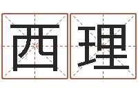 范西理师氏婴儿起名-开元免费算命