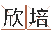 王欣培在线起名测名打分-免费姓名爱情测试