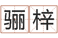 彭骊梓救生话-周易测还受生钱运势