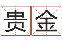 司贵金知命垣-免费起名字绣名字