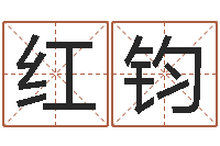 王红钧姓钟男孩取名-童子命年命运