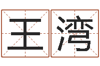 王湾旨命易-做自己的算命师