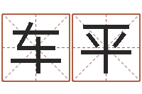 车平李姓宝宝起名-六爻免费算命