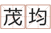 夏茂均掌纹算命-三藏起名网