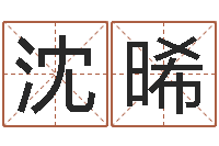 沈晞测名公司免费起名网-男孩子起名命格大全