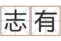 种志有日文字库-六爻占卜系统排盘