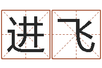 陈进飞公司风水学算命书籍-南方八字算命