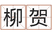 刘柳贺改命讲-周易称骨论命