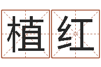 植红包头周易取名-运气