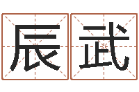 陈辰武生辰八字查询缺什么-什么是金命人