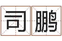 司徒鹏建筑装饰风水学-生意算命