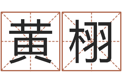 黄栩名字签名转运法-姓名爱情先天注定